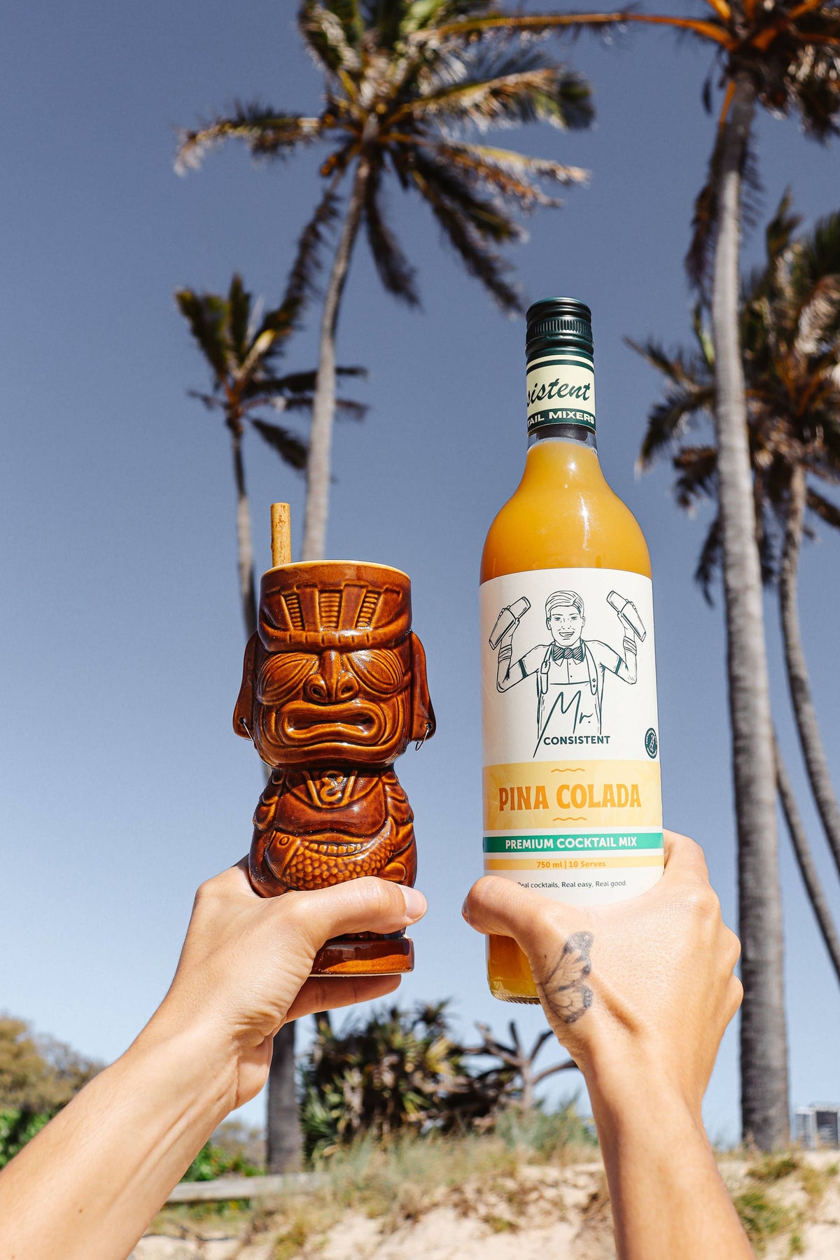 Pina Colada Mixer