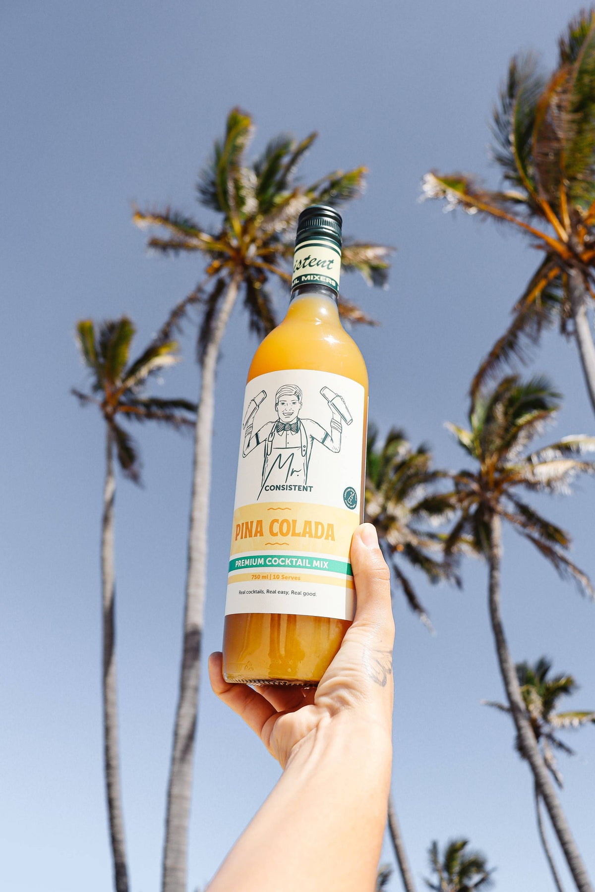 Pina Colada Mixer