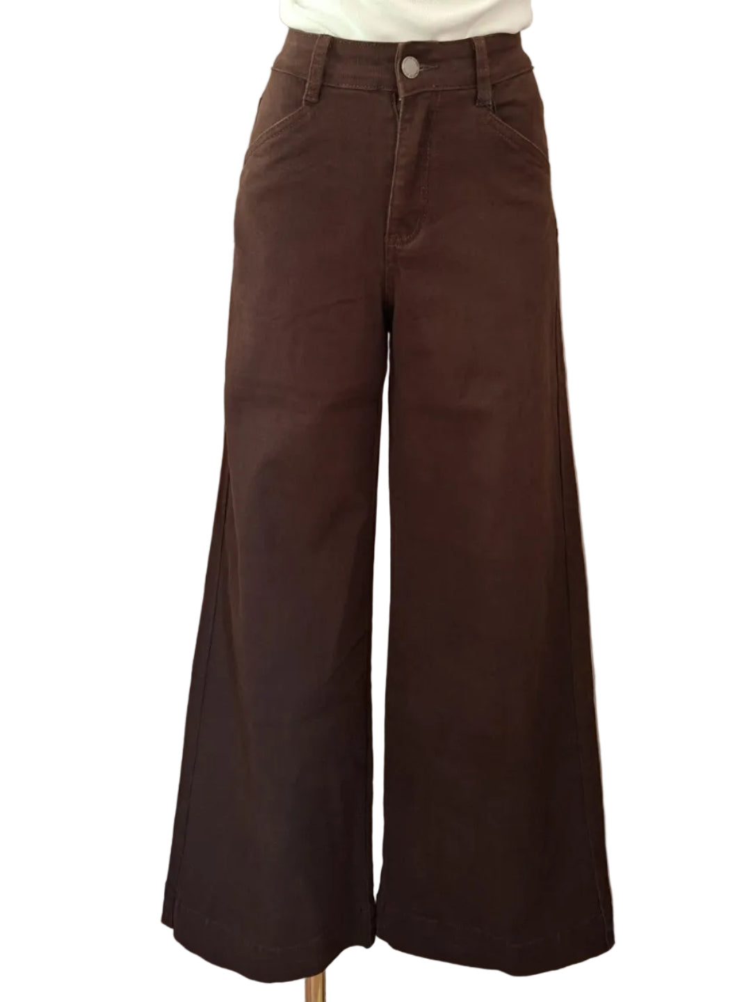 Brown wide-leg pants worn by a mannequin against a plain background